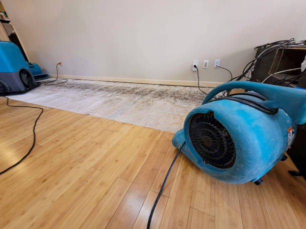 Professional Structural Drying technician working in Caledonia, MO
